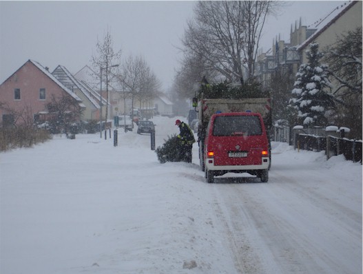 Weihnachtsbaumverbrennen 2010