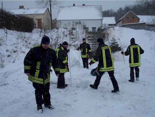 Weihnachtsbaumverbrennen 2010