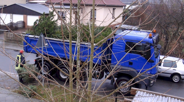 Abholung der Weihnachtsbäume 2012 Karte