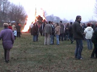 Das Holz wird von einem LKW geladen